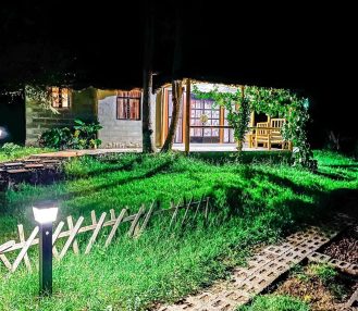 jacaranda bush camp experience 3