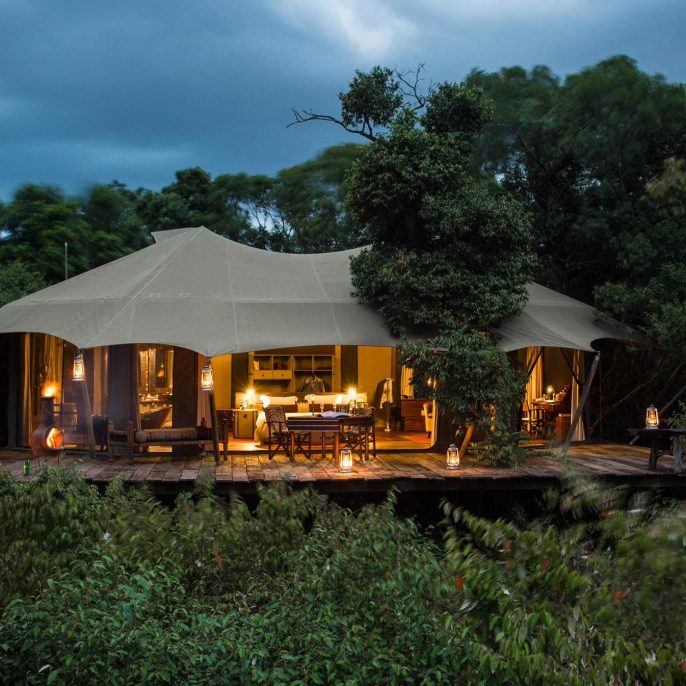 jacaranda camp 2